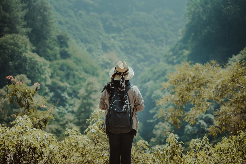 Lire la suite à propos de l’article Tortor nulla vulputate